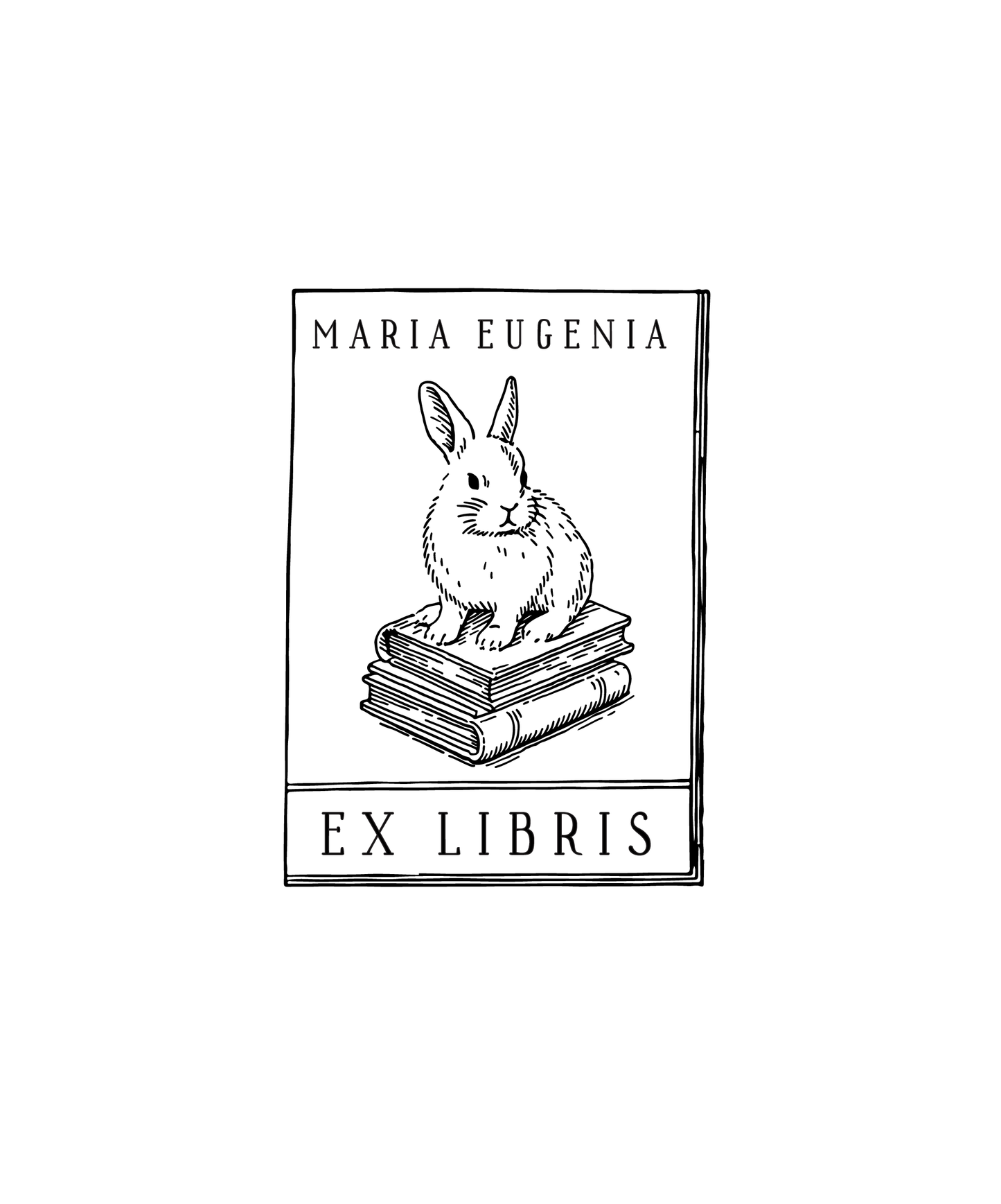 Bunny & Books