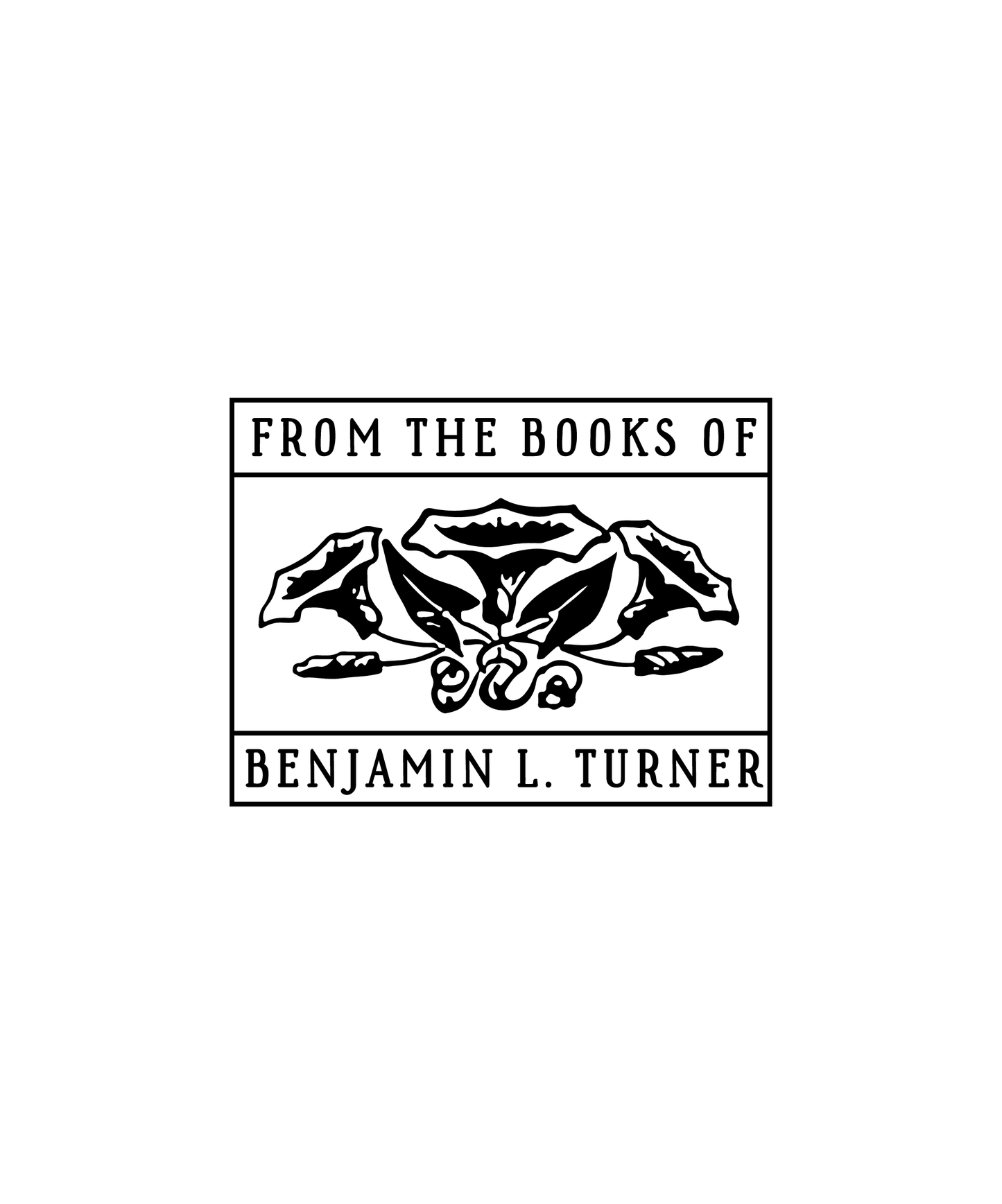 Three Bindweed Flowers